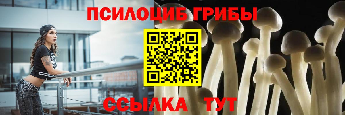 Галлюциногенные грибы ЛСД Северобайкальск